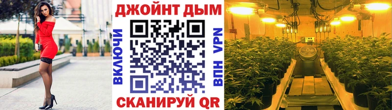 Канабис OG Kush  Ржев 